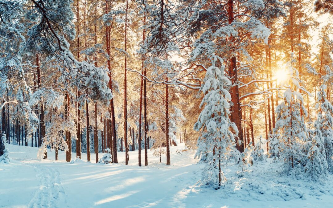 Neurodermitis im Winter: 5 Tipps für eine gemütliche Winterzeit