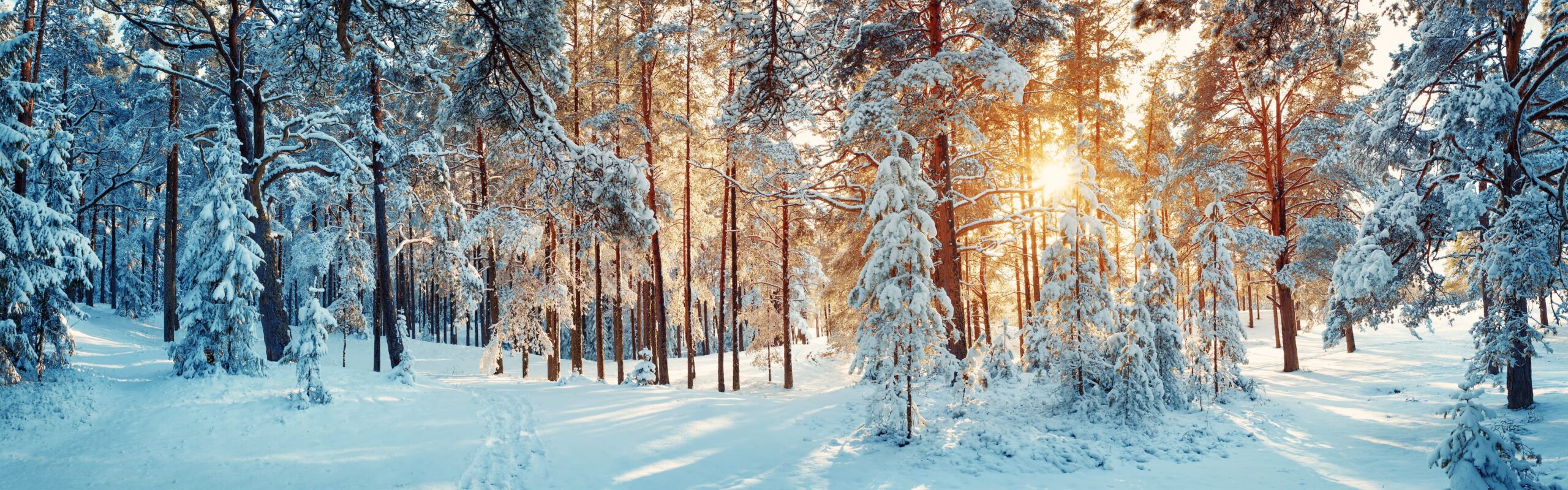 neurodermitis ratgeber alltag winter
