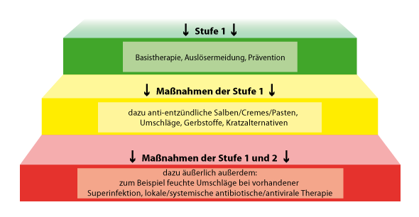 neurodermitis verstehen innere behandlung stufenplan