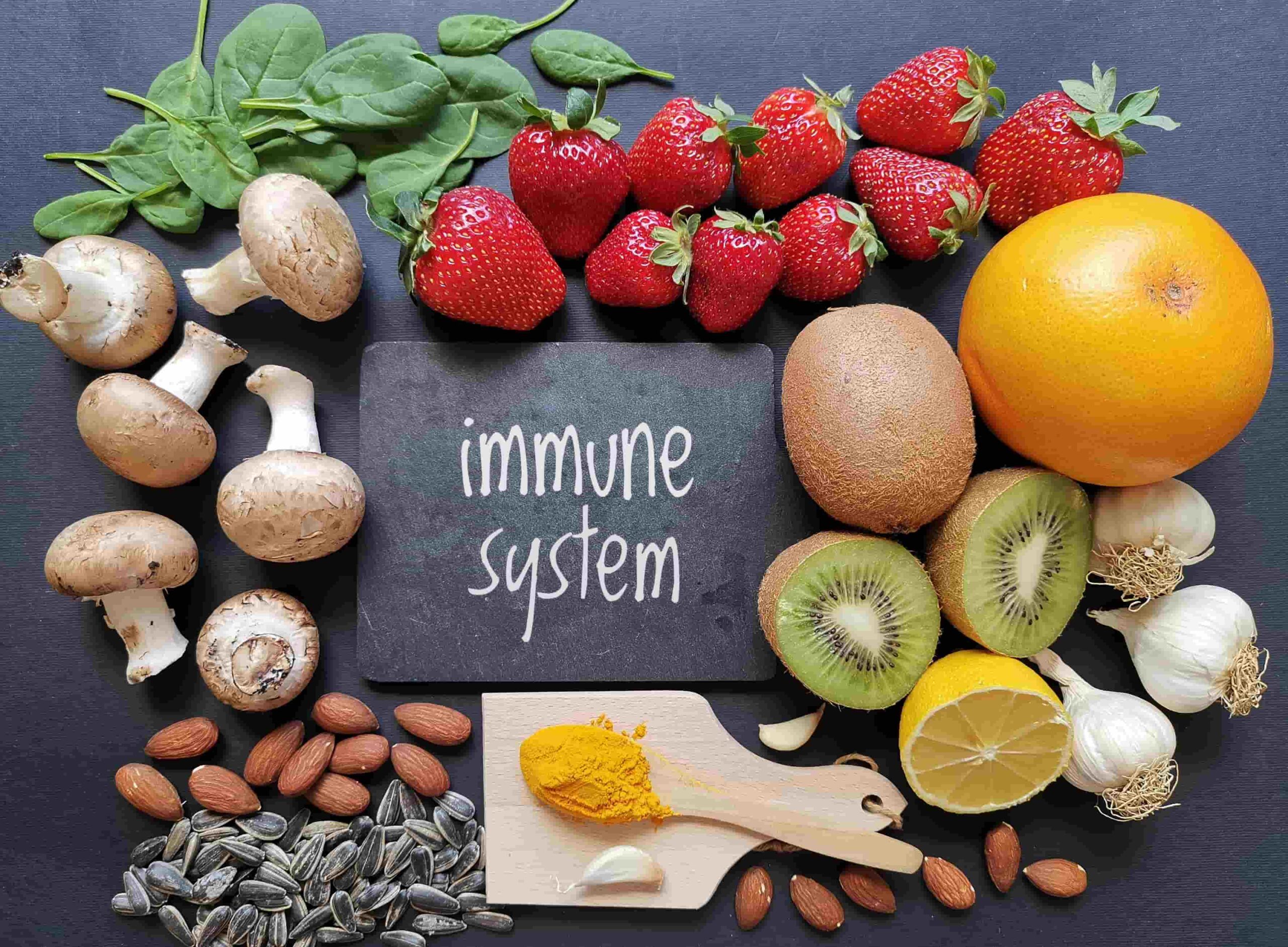 neurodermitis-versthehen-immunsystem-354644392 neurodermitis versthehen immunsystem