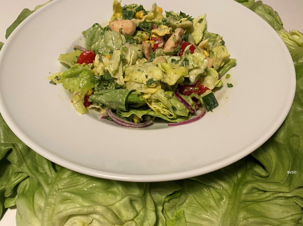 psoriais ratgeber alltag-hautfreundliche rezepte haenchen salat