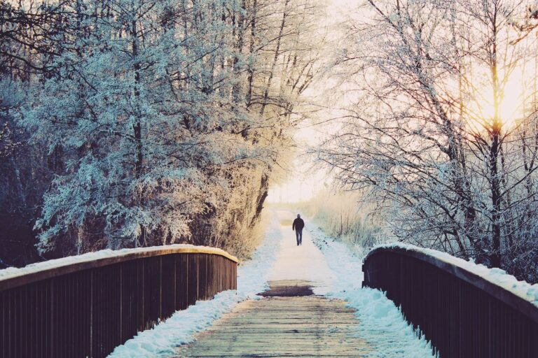psoriasis ratgeber alltag hautgesund winter