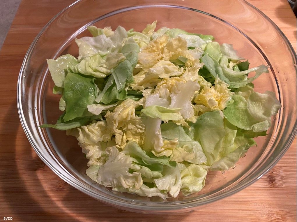 salatschuessel